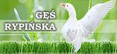 Reklama